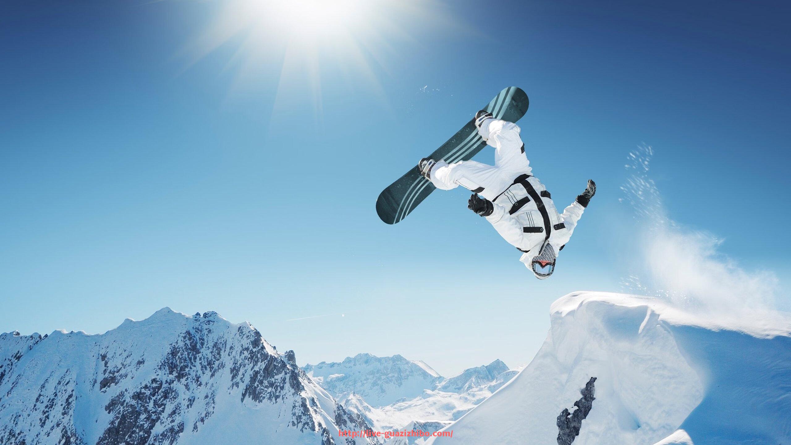 瓜子直播-美国职业篮球联盟火箭队历年季后赛表现回顾